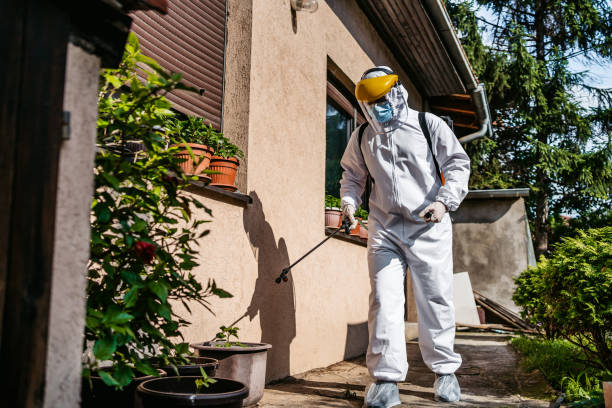 Best Pest Removal Services  in Cave Junction, OR