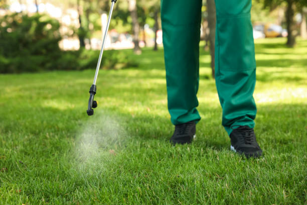 Best Cockroach Control Services  in Cave Junction, OR
