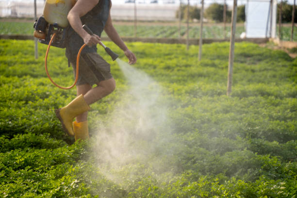 Best Exterminator Services  in Cave Junction, OR
