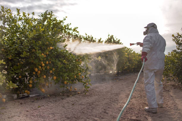 Best Pest Control Treatment  in Cave Junction, OR