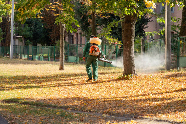 Best Commercial Pest Control Services  in Cave Junction, OR