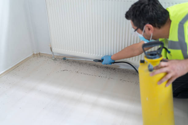 Best Emergency Pest Control  in Cave Junction, OR