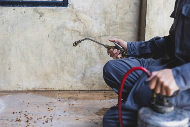 Best Best Pest Control Companies  in Cave Junction, OR